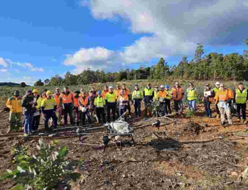 Report: Forest Pest Management (FPM) Research Consortium April Field Trip